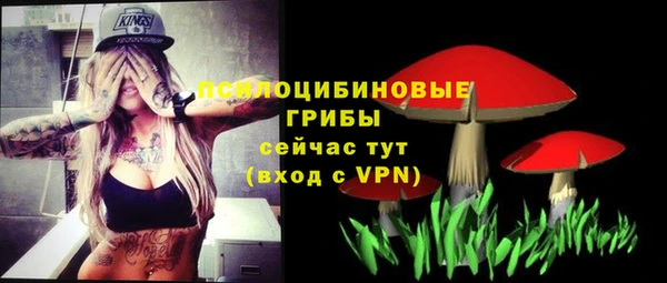 мдпв Гусь-Хрустальный