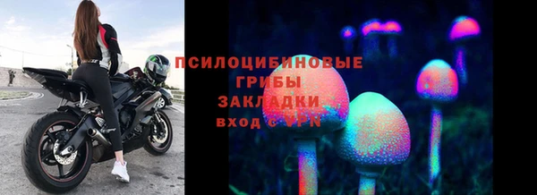 СК Гусев