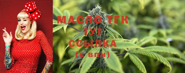 СК Гусев