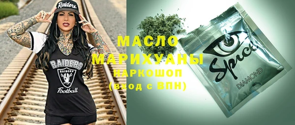 мдпв Гусь-Хрустальный