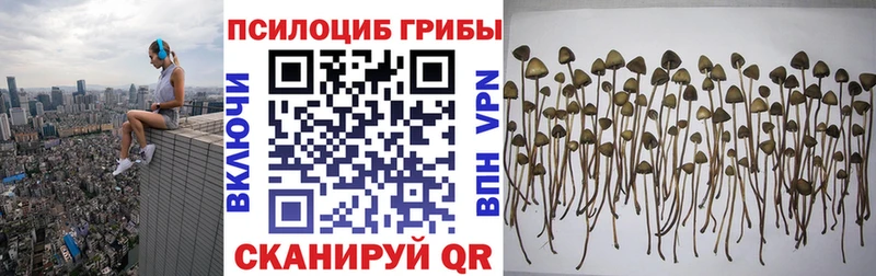 Псилоцибиновые грибы прущие грибы  Купить где  Назарово 